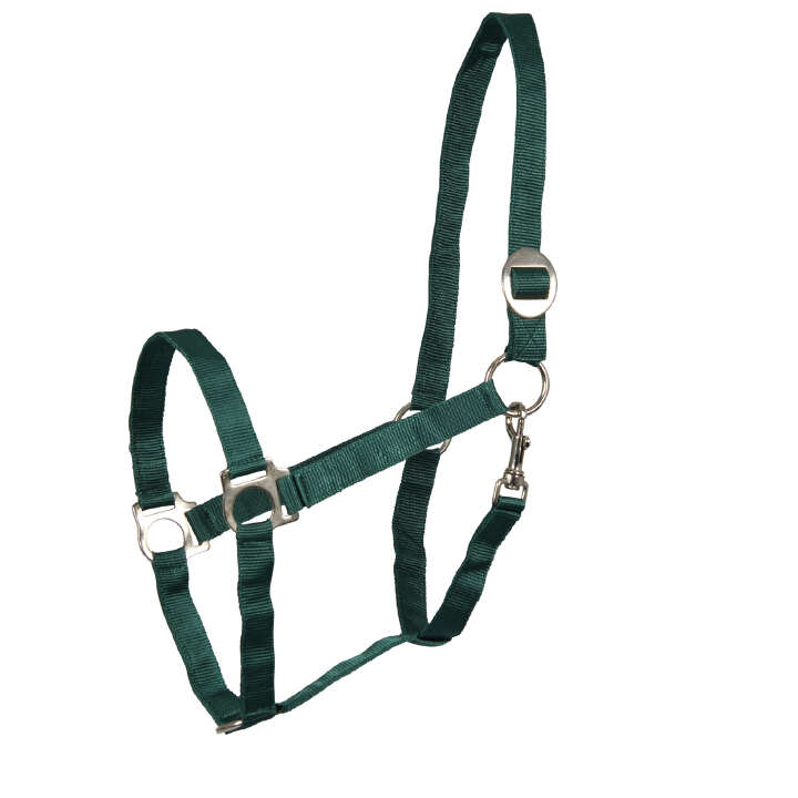 KANTRIE Perlonhalfter